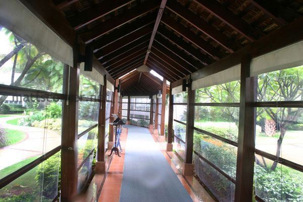 Weather-Resistant Blinds for Assam